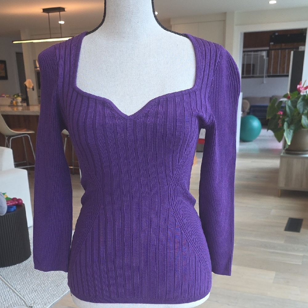 White House Black Market Women's Purple V-Neck Sweater XS NWT
